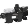 Pentair Freeflo 051 Zwembadpomp -Zwembad Verkoop pentair freeflo zwembadpomp zwembadcompleet 1